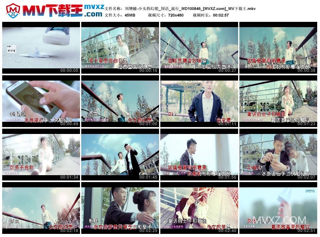 刘增瞳-少女的幻想_国语_流行_MD100846
